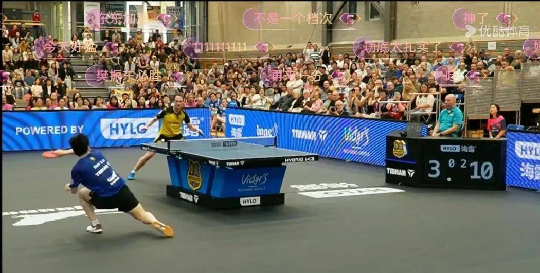 波兰乒乓球队翻盘英国乒乓球队，樊振东制霸全场
