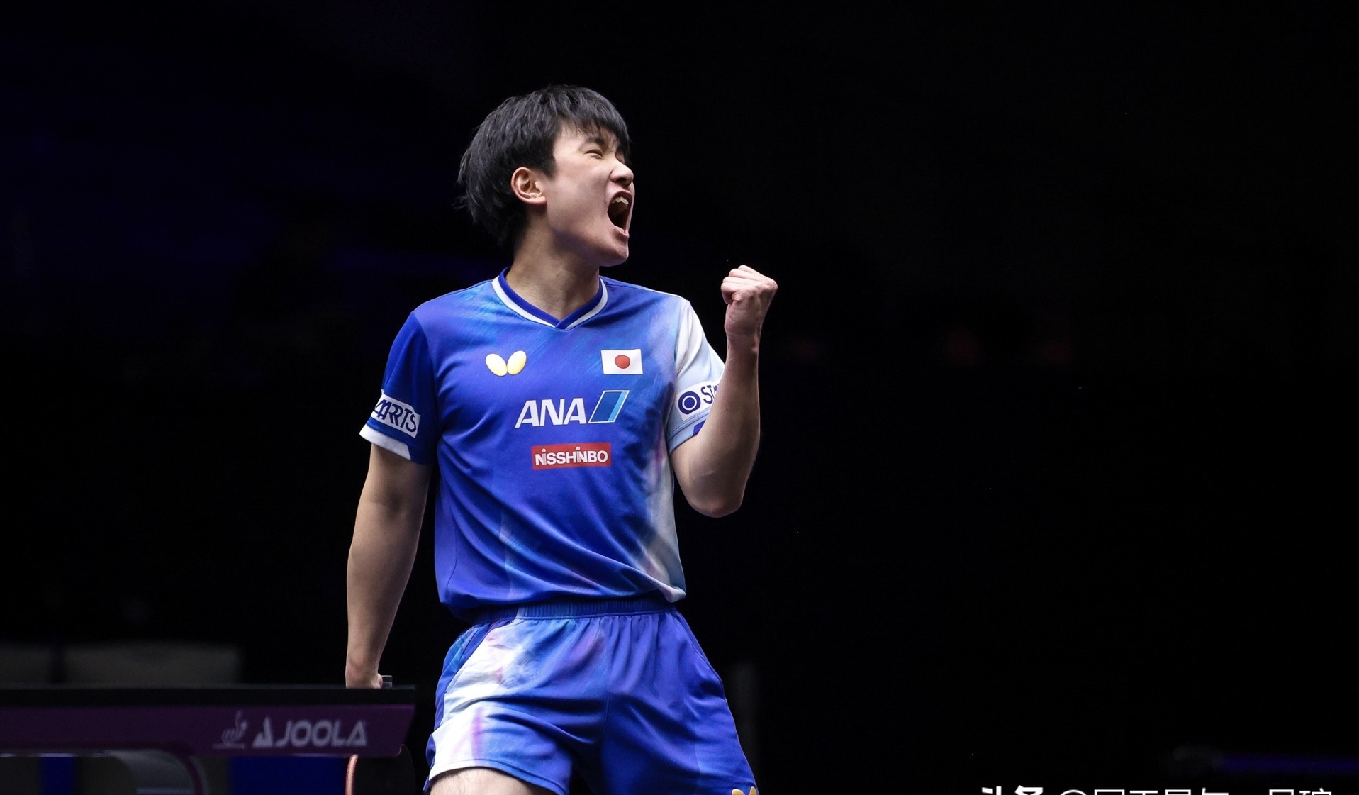 英国乒乓球队翻盘比利时乒乓球队，张本智和关键制胜的简单介绍